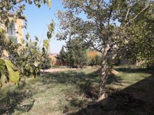 Satılır Həyət evi, Xəzər.r, Zirə-20