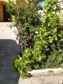 Satılır Həyət evi, Sabunçu.r, Savalan, Koroğlu.m-10