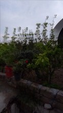 Satılır Həyət evi, Suraxanı.r, Zığ, Həzi Aslanov.m-11