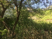 Satılır Həyət evi, -3