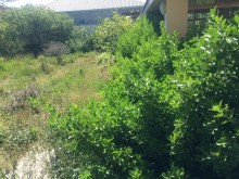 Satılır Həyət evi, -4