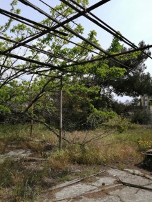 Satılır Torpaq, Xəzər.r, Mərdəkan-5