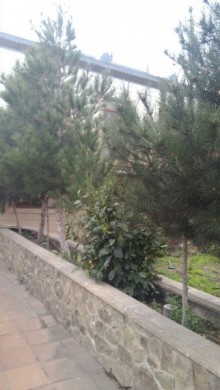 Satılır Həyət evi, Sabunçu.r, Pirşağı-15
