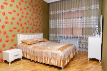 aeraport yoluna yaxin temirli ev satilir, -6