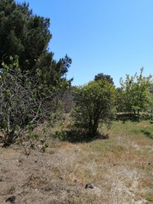 Satılır Torpaq, Xəzər.r, Mərdəkan-8