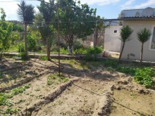 buzovna torpaq elanları, -10
