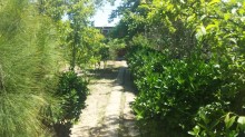 Satılır Həyət evi, Sabunçu.r, Pirşağı, Koroğlu.m-2