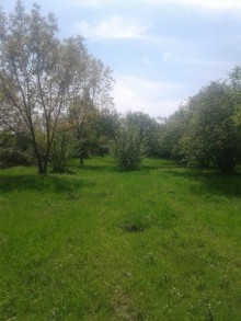 Satılır Torpaq, Qəbələ.ş-3
