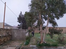 Satılır Torpaq, Sabunçu.r, Nardaran-10