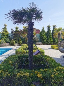 Satılır Villa, Xəzər.r, Şüvəlan-17