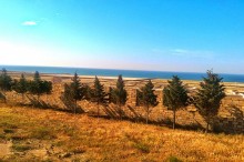Satılır Torpaq, Abşeron.r, Novxanı-3