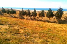 Satılır Torpaq, Abşeron.r, Novxanı-10