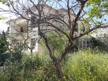 Satılır Həyət evi, Xətai.r, H.Aslanov-15