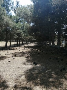 Satılır Torpaq, Xəzər.r, Mərdəkan-1