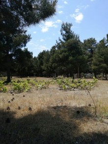 Satılır Torpaq, Xəzər.r, Mərdəkan-4