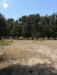 Satılır Torpaq, Xəzər.r, Mərdəkan-5