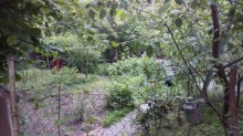 Satılır Həyət evi, Quba.ş-6
