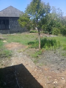 Satılır Həyət evi, Lənkəran.ş-1