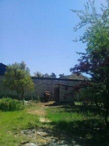 Satılır Həyət evi, Lənkəran.ş-4