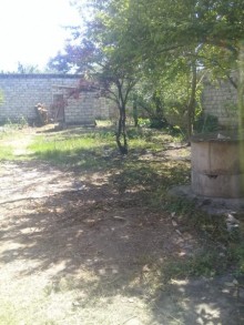 Satılır Həyət evi, Lənkəran.ş-5