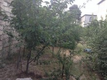 Satılır Torpaq, Binəqədi.r, Rəsulzadə, Azadlıq.m-16
