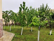 Kirayə (Aylıq) Villa, Abşeron.r, Fatmayi, Azadlıq.m-19