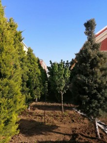 Satılır Həyət evi, Xəzər.r, Şağan-17