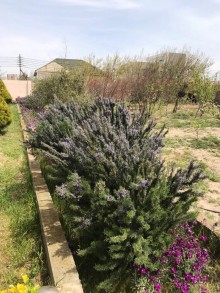 Satılır Həyət evi, Sabunçu.r, Nardaran-8
