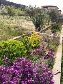 Satılır Həyət evi, Sabunçu.r, Nardaran-18