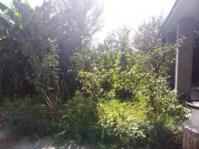 Satılır Həyət evi, Qəbələ.ş-17