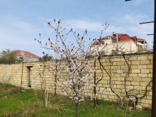 Satılır Həyət evi, Abşeron.r, Masazır-7