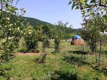 Satılır Torpaq, Qəbələ.ş-2