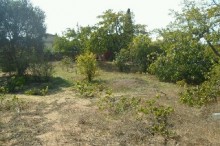 Satılır Torpaq, Sabunçu.r, Bilgəh-3