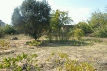 Satılır Torpaq, Sabunçu.r, Bilgəh-5
