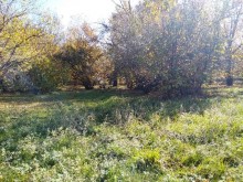 Satılır Torpaq, Qəbələ.ş-6