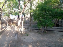 Satılır Torpaq, Sabunçu.r, Bakıxanov-3