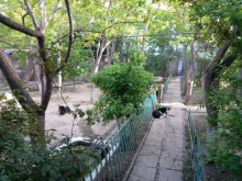 Satılır Torpaq, Sabunçu.r, Bakıxanov-6