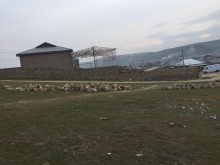 Satılır Torpaq, Abşeron.r, Qobu-1