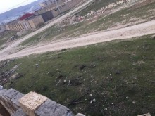 Satılır Torpaq, Abşeron.r, Qobu-4