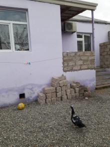 Satılır Həyət evi, Xəzər.r, Binə, Koroğlu.m-1
