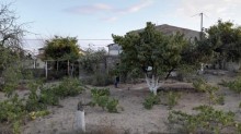 Satılır Torpaq, Sabunçu.r, Bilgəh-1