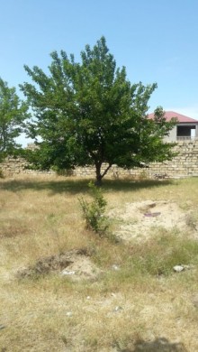 Satılır Torpaq, Abşeron.r, Novxanı-1