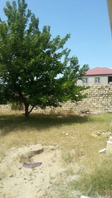 Satılır Torpaq, Abşeron.r, Novxanı-2