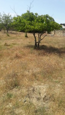 Satılır Torpaq, Abşeron.r, Novxanı-6