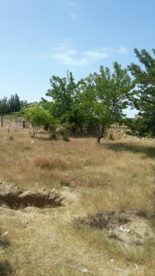 Satılır Torpaq, Abşeron.r, Novxanı-8