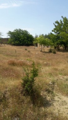 Satılır Torpaq, Abşeron.r, Novxanı-10