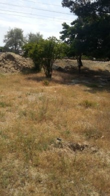 Satılır Torpaq, Abşeron.r, Novxanı-11