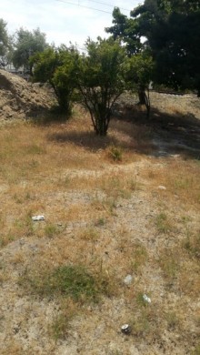 Satılır Torpaq, Abşeron.r, Novxanı-12