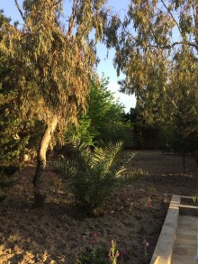 Kirayə (Aylıq) Həyət evi, Xəzər.r, Mərdəkan-3