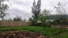 Satılır Torpaq, Qəbələ.ş-1